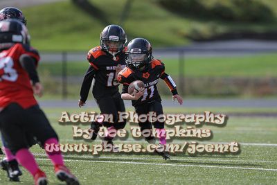 IMG_4527.jpg