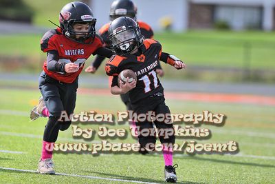 IMG_4536.jpg