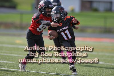 IMG_4537.jpg