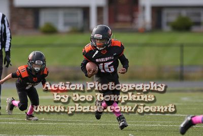 IMG_4573.jpg