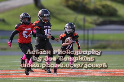 IMG_4597.jpg