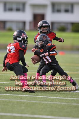 IMG_4613.jpg