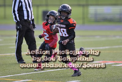 IMG_4646.jpg
