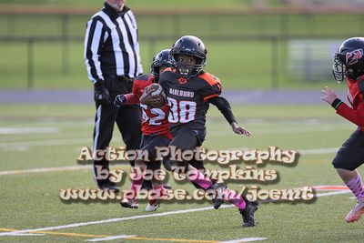 IMG_4647.jpg