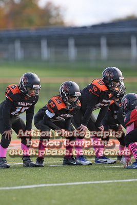 IMG_4656.jpg