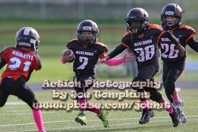 IMG_4666.jpg
