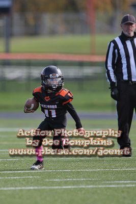 IMG_4687.jpg