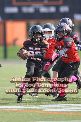 IMG_4696.jpg