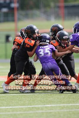IMG_4851.jpg