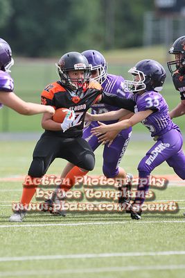 IMG_4856.jpg