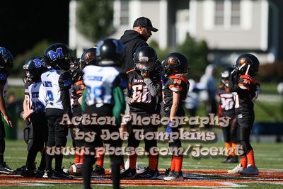 IMG_4935.jpg