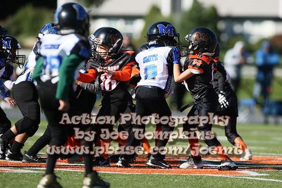 IMG_4944.jpg