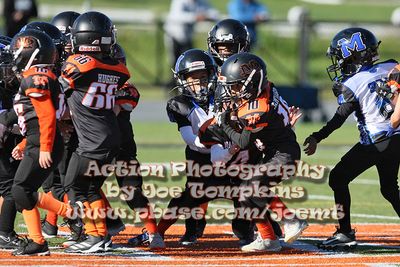 IMG_4951.jpg