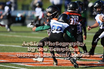 IMG_4957.jpg