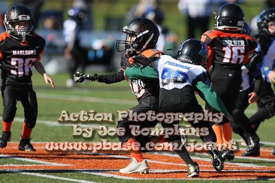 IMG_4958.jpg