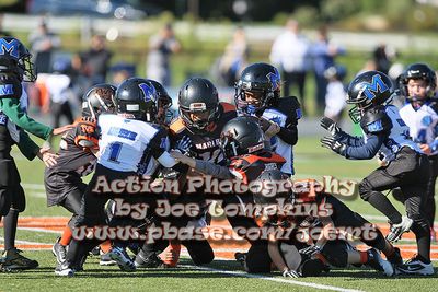 IMG_4964.jpg