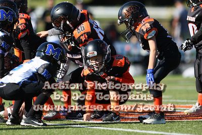 IMG_4973.jpg
