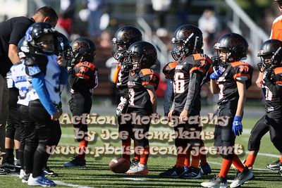 IMG_5007.jpg