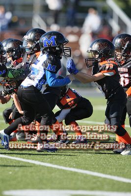IMG_5016.jpg