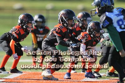 IMG_5029.jpg