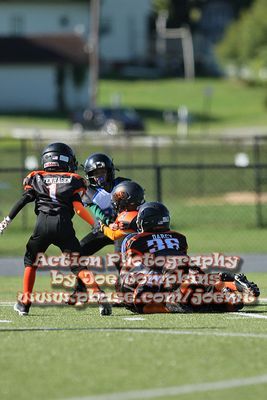 IMG_5055.jpg