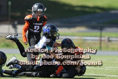 IMG_5113.jpg