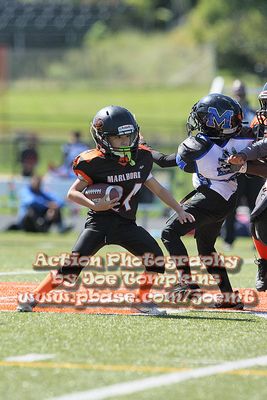 IMG_5135.jpg