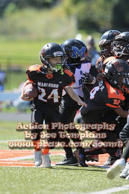 IMG_5137.jpg