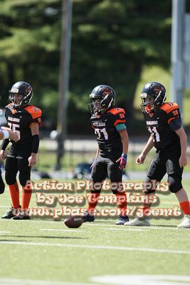 IMG_5219.jpg