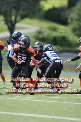 IMG_5245.jpg