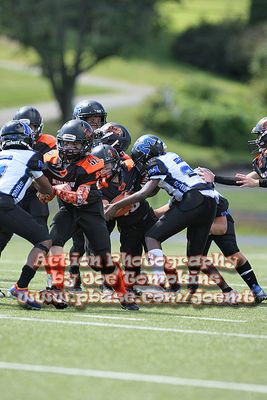 IMG_5247.jpg
