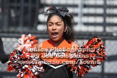 IMG_5273.jpg