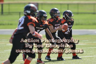 IMG_5278.jpg