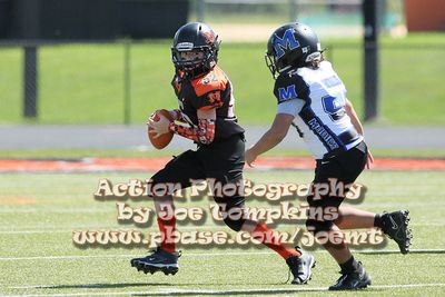 IMG_5286.jpg