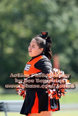 IMG_5302.jpg