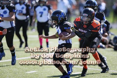 IMG_5390.jpg