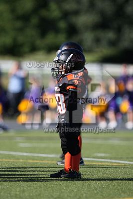 IMG_5548.jpg