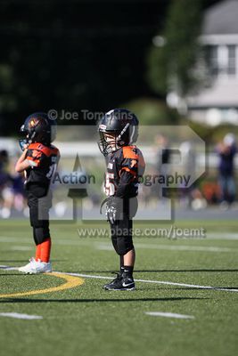 IMG_5551.jpg