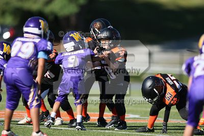 IMG_5633.jpg