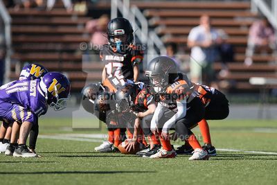 IMG_5659.jpg