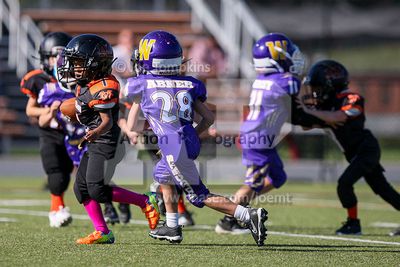 IMG_5667.jpg