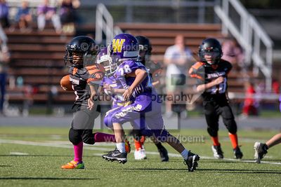 IMG_5669.jpg