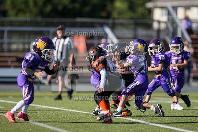 IMG_5675.jpg
