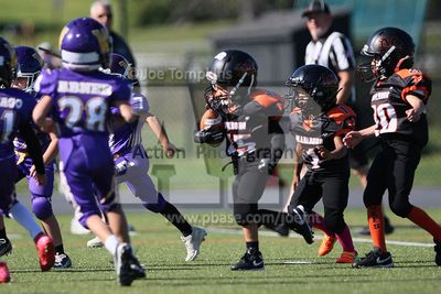 IMG_5693.jpg