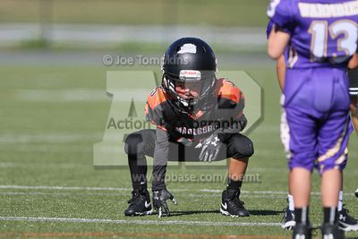 IMG_5715.jpg