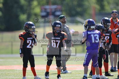 IMG_5883.jpg