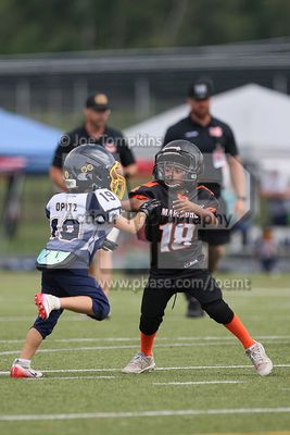 IMG_6244.jpg