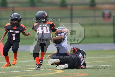 IMG_6132.jpg