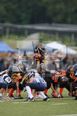 IMG_6217.jpg