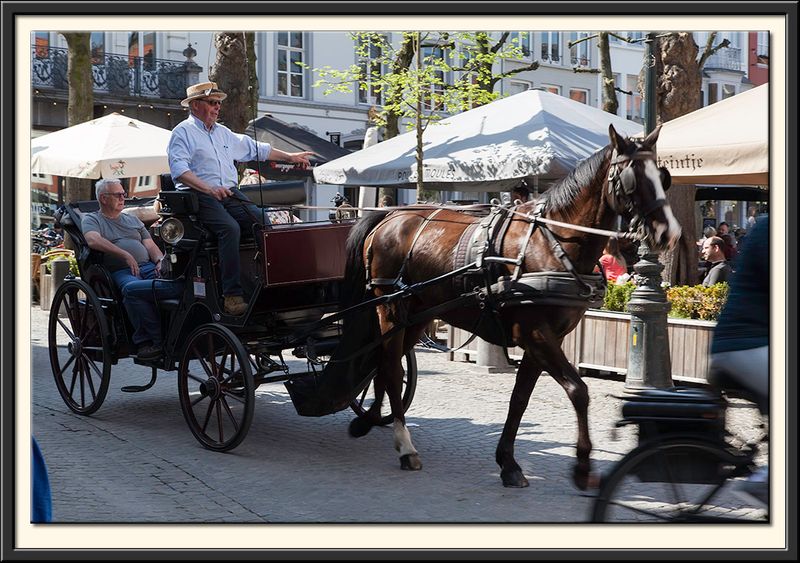 What a lovely way to travel!